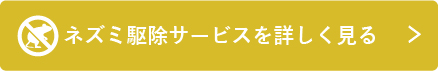 ネズミ駆除サービスを詳しく見る