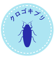 クロゴキブリの駆除方法と効果的な対策