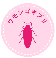 ワモンゴキブリの駆除方法と効果的な対策とは？