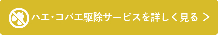 ハエ・コバエ駆除サービスを詳しく見る