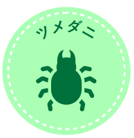 ツメダニの駆除方法と効果的な対策とは？