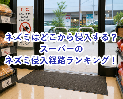 スーパーのネズミ侵入経路ランキング