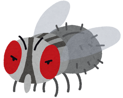ハエイラスト
