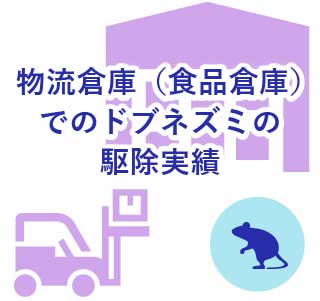 物流倉庫（食品倉庫）でのドブネズミの駆除実績