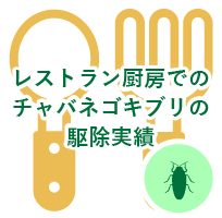 レストラン厨房でのチャバネゴキブリの駆除実績