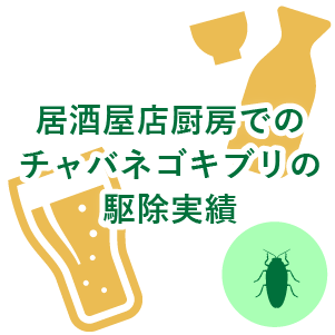 居酒屋店厨房でのチャバネゴキブリの駆除実績