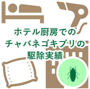 ホテル厨房でのチャバネゴキブリの駆除実績