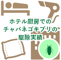 ホテル厨房でのチャバネゴキブリの駆除実績