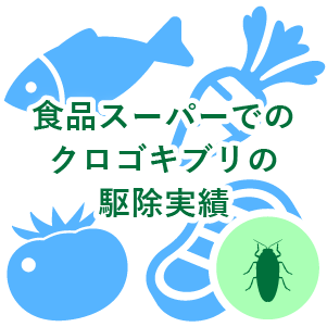 食品スーパーでのクロゴキブリの駆除実績