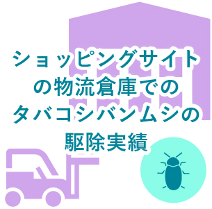 ショッピングサイト物流倉庫でのタバコシバンムシの駆除実績
