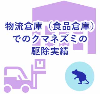 物流倉庫（食品倉庫）でのクマネズミの駆除実績