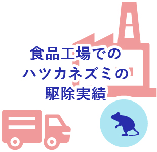 食品工場でのハツカネズミの駆除実績