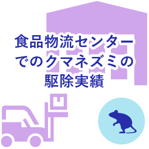 食品物流センターでのクマネズミの駆除実績