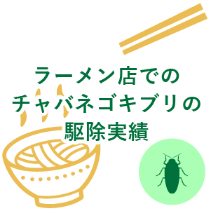 ラーメン店でのチャバネゴキブリの駆除実績