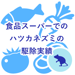 食品スーパーでのハツカネズミの駆除実績