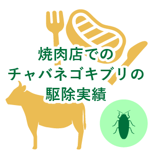 焼肉店でのチャバネゴキブリの駆除実績(東京都渋谷区)