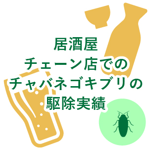居酒屋チェーン店でのチャバネゴキブリの駆除実績