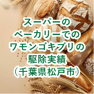 スーパーのベーカリーでのワモンゴキブリの駆除実績(千葉県松戸市)