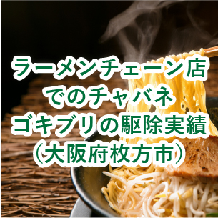 ラーメンチェーン店でのチャバネゴキブリ駆除実績(大阪府枚方市)