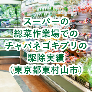 食品スーパーでのチャバネゴキブリの駆除実績(東京都東村山市)
