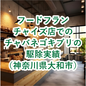 フードフランチャイズ店でのチャバネゴキブリの駆除実績(神奈川県大和市)