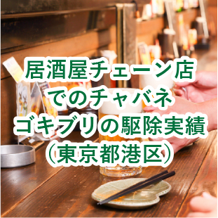 居酒屋チェーン店でのチャバネゴキブリ駆除実績(東京都港区)