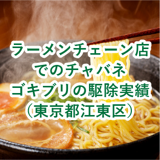 ラーメンチェーン店でのチャバネゴキブリ駆除実績(東京都江東区)