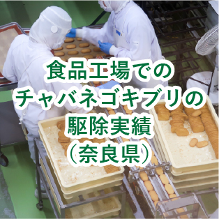 食品工場でのチャバネゴキブリの駆除実績(奈良県)