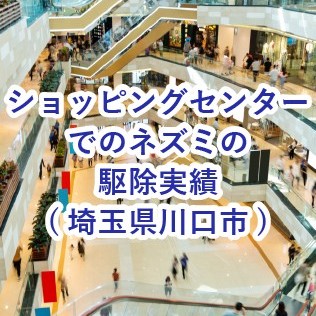 ショッピングモールでのネズミ駆除実績(埼玉県川口市)