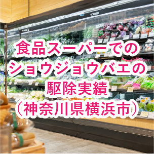 食品スーパーでのショウジョウバエ駆除実績(神奈川県横浜市)