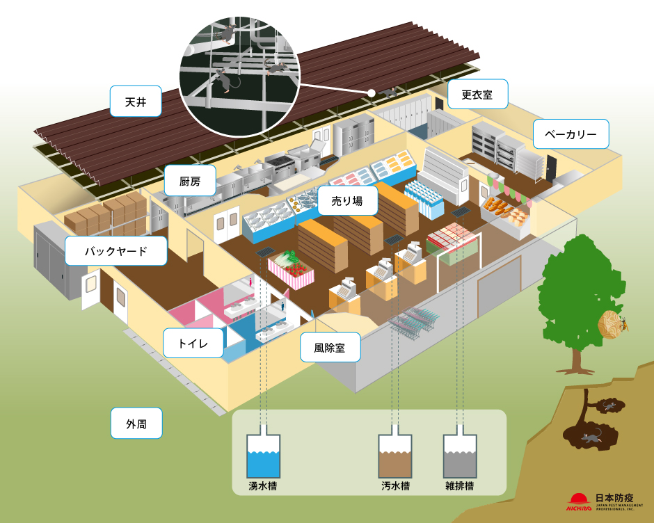 食品スーパーのネズミ・害虫対策MAP