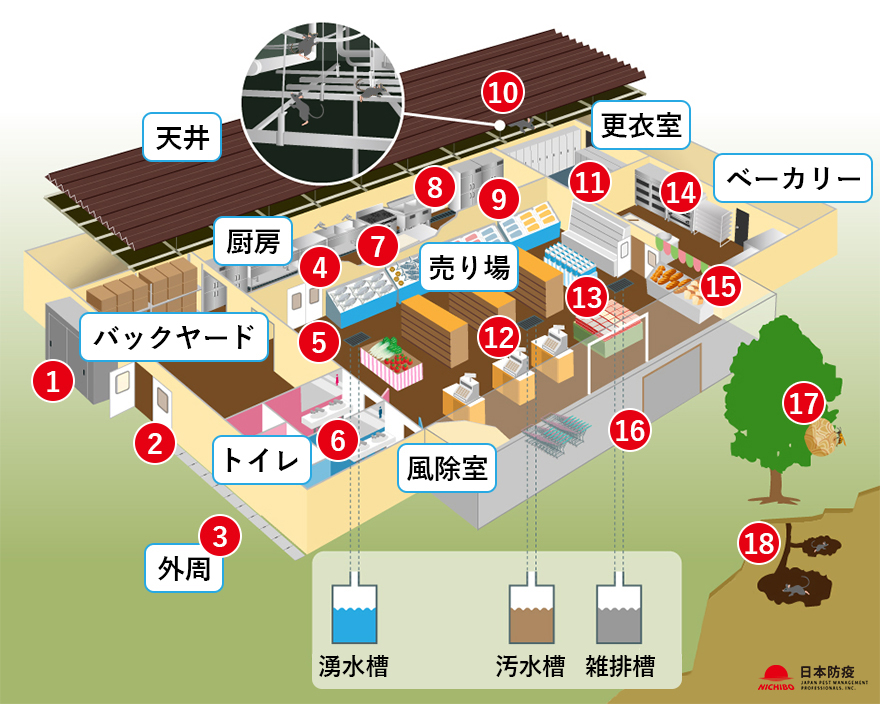 食品スーパーのネズミ・害虫対策MAP